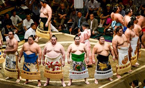 sumo matches and results.